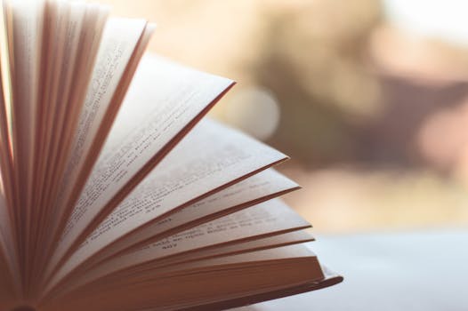 Unlocking Potential: Navigating the Landscape of an Intensive Education Academy