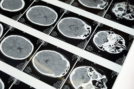 When a TBI Diagnosis Demands More Than Just Medical Care: Finding Your Legal Champion