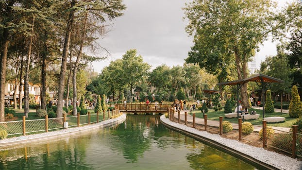 Beyond the Bubbler: Unlocking the Magic of Your Pond’s Surroundings