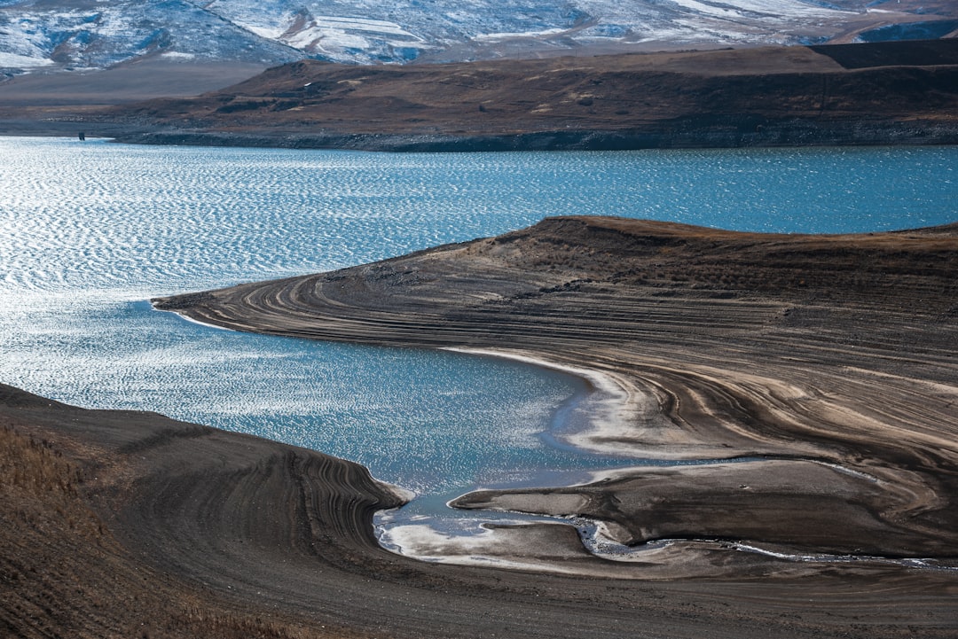 Lenire: A New Approach to Tinnitus Relief