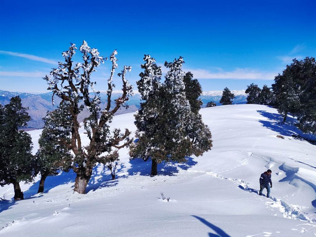 All you need to know about the Nag Tibba Trek