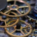 Mastering the Art of Watch Bezel Selection