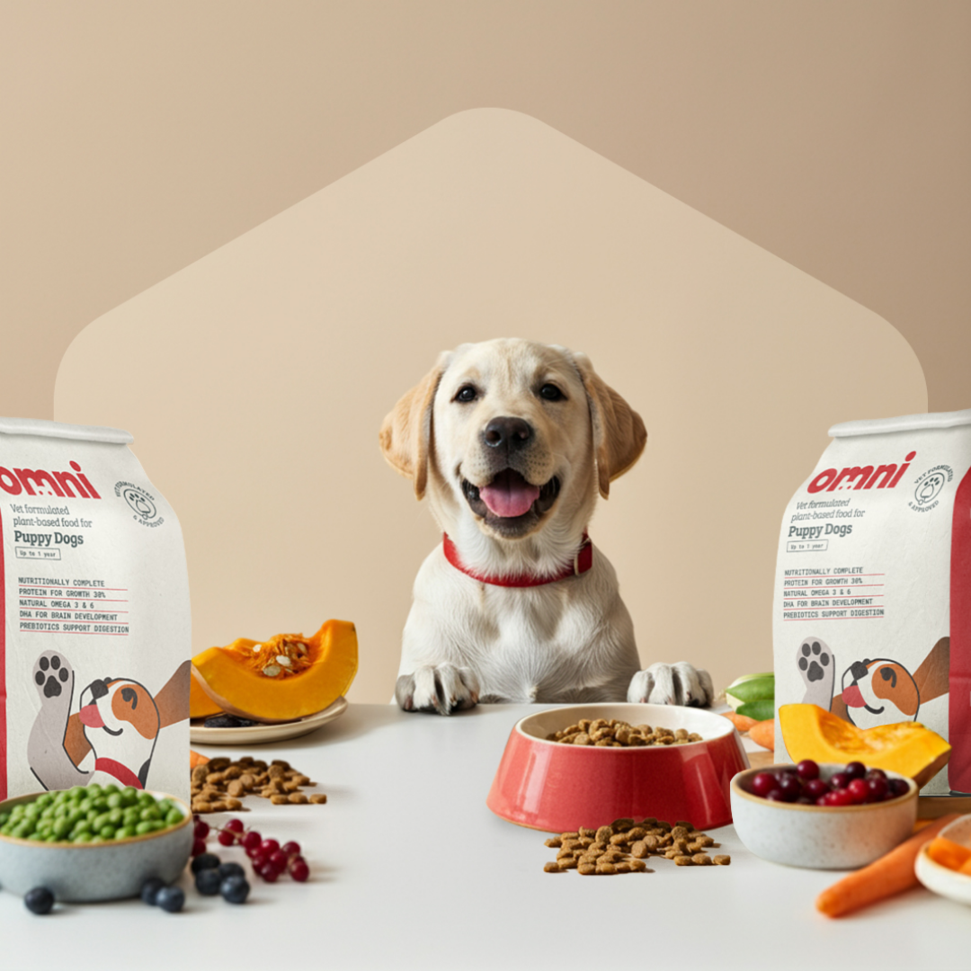 Omni Pet vs. Different Dog: The UK’s Best Choice for Hypoallergenic, Vet-Formulated Dog Food