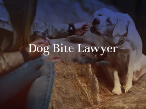 Choosing the right attorney after a dog bite