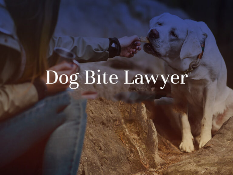 Choosing the right attorney after a dog bite