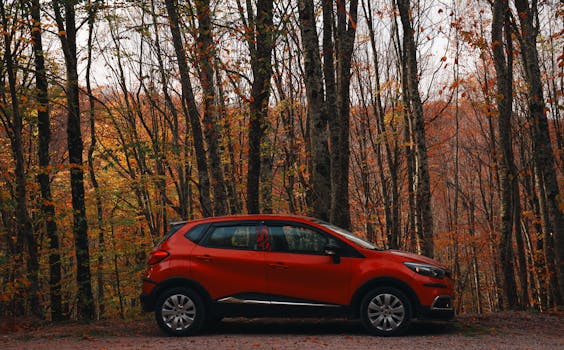 Navigating the Labyrinth: When a Drunk Driving Lawyer Becomes Your Essential Ally