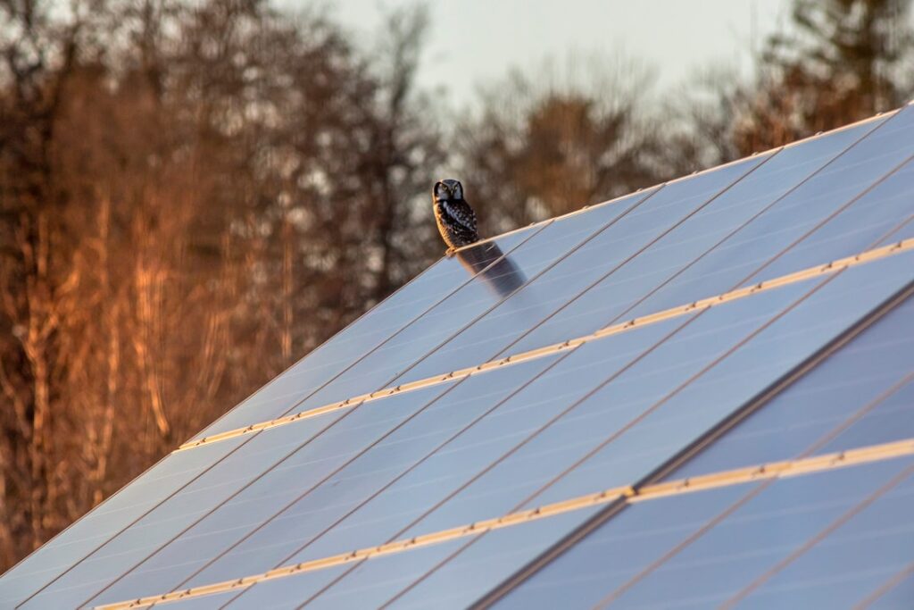 Harnessing the Power of Solarballs