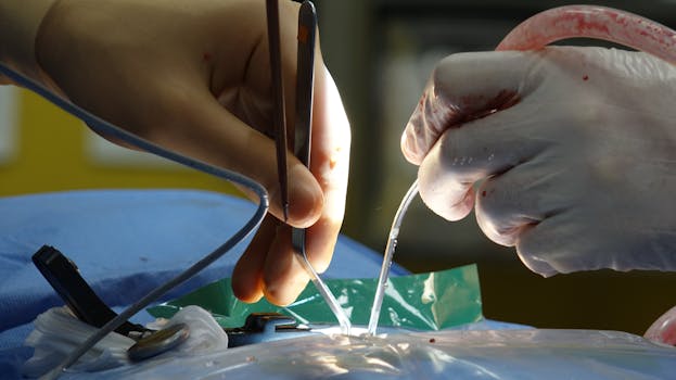 When Your Central Nervous System Takes a Hit: Why You Need a Brain and Spine Injury Attorney in Your Corner