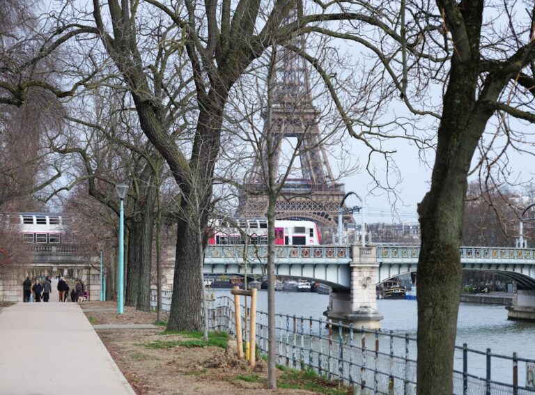Revitalizing Cities: The Importance of Urban Green Spaces