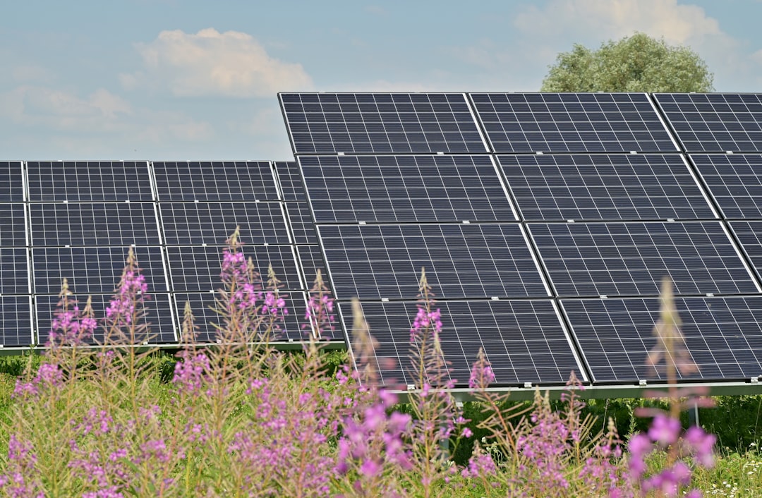 Advancing Net-Zero Energy Buildings for Sustainable Future