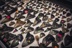 Understanding Admissibility of Digital Evidence in Courts