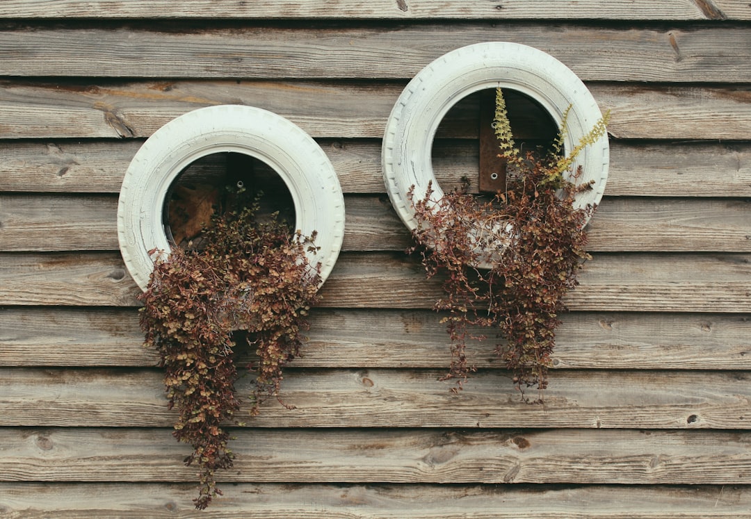 Circular Economy Models for Sustainable Future