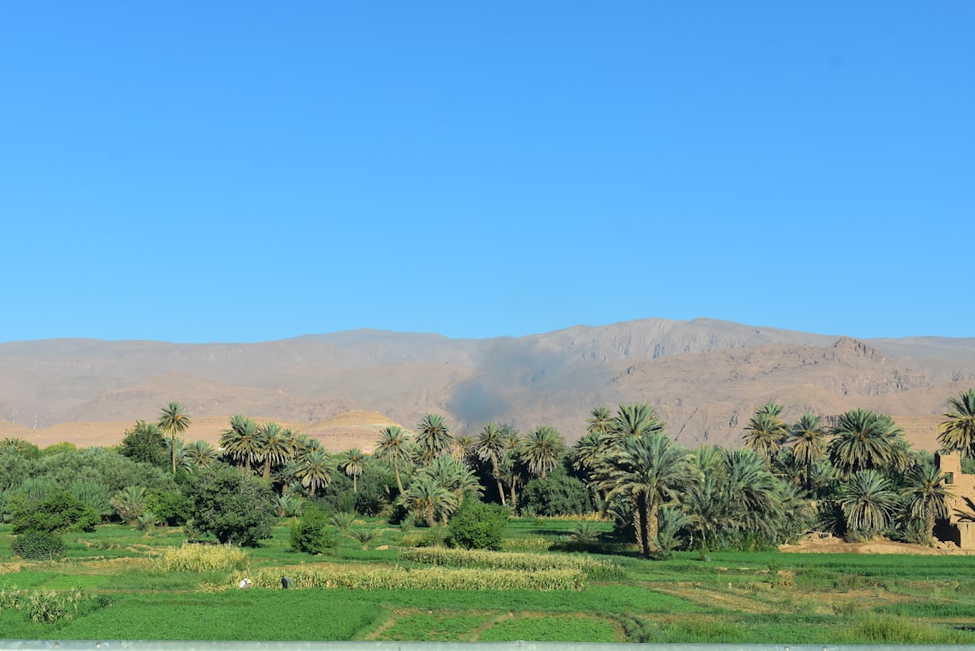 Reconnecting with Nature: The Power of Nature Therapy for Urbanites