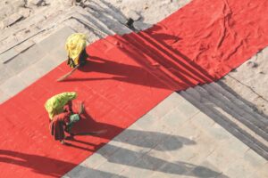 Timothée Chalamet Returns to Minnesota for Bob Dylan Film Screening