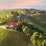 Autumn Road Trips Through the Styrian Wine Country from Leibnitz