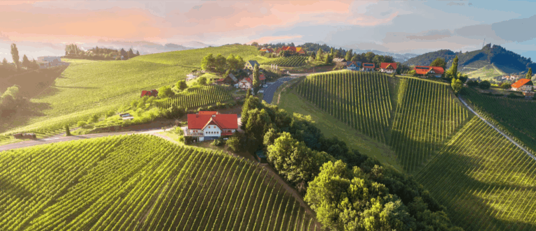 Autumn Road Trips Through the Styrian Wine Country from Leibnitz