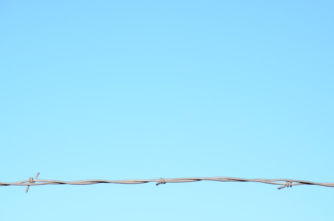 Exploring the Art of Wire Sculpture